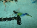 Meerjungfrauenschwimmen-107.jpg